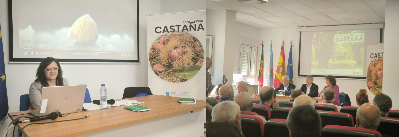 III FORO DA CASTAÑA EN RIÓS 